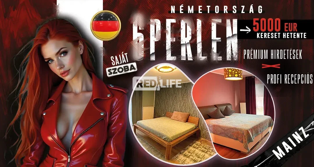 [6 Perlen] Ez a bejáratott privát ház Németországban, Mainz városában várja érkezésed, napi 40 vendéggel, korrekt elszámolással