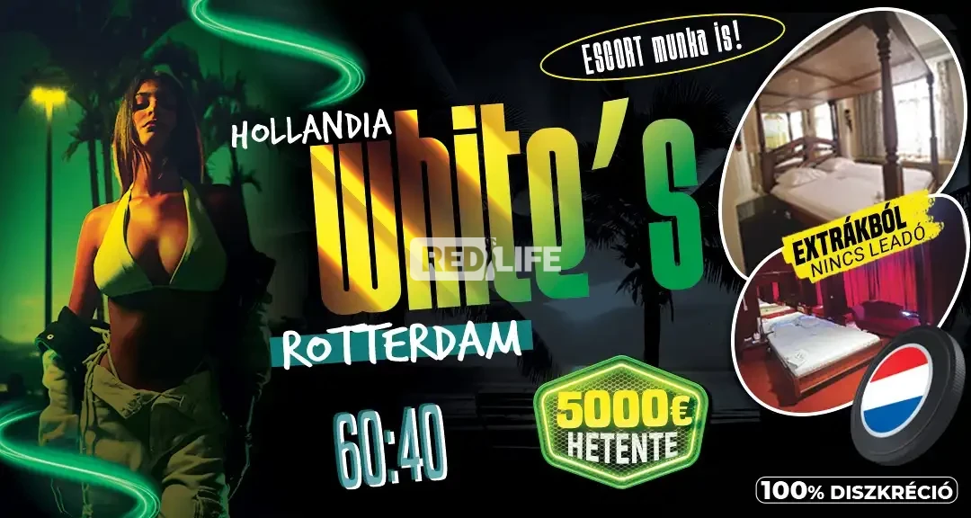 » White's « Luxus erotikus munka legálisan, rengeteg törzsvendéggel Hollandiában, Rotterdam központjában, VIP escort lehetőséggel is